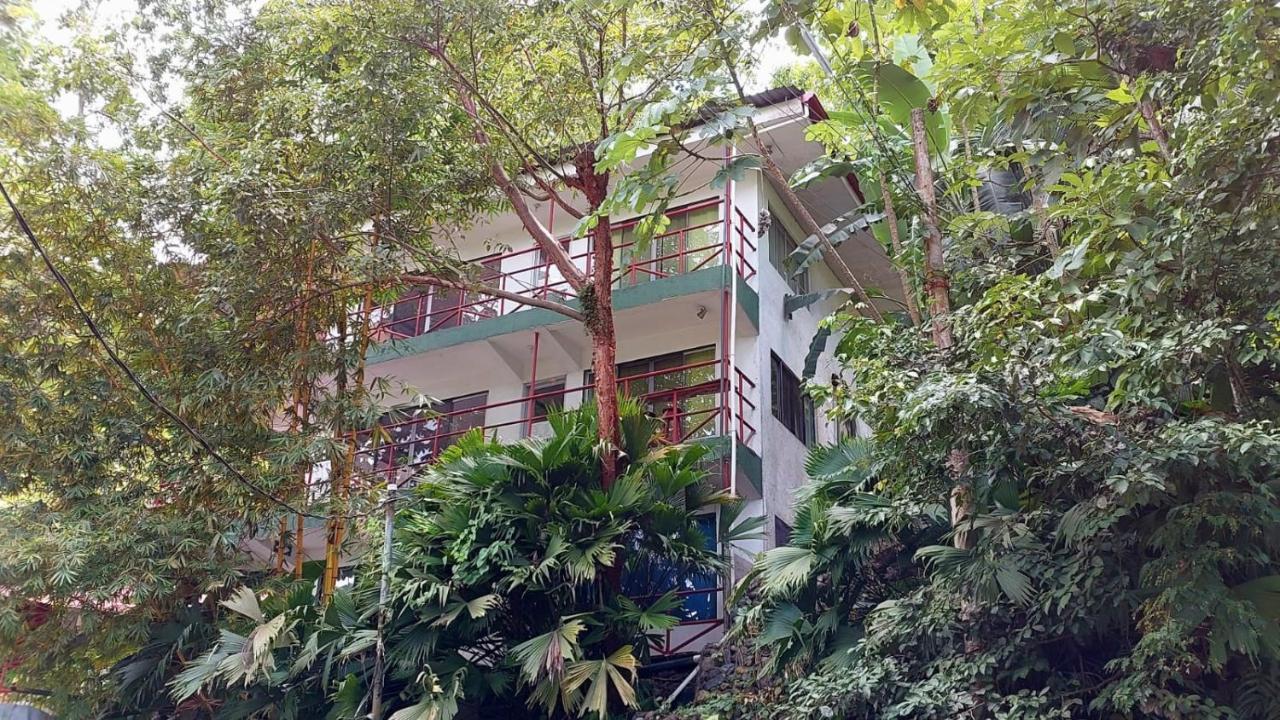 Pura Vida Hostel Manuel Antonio Exterior photo