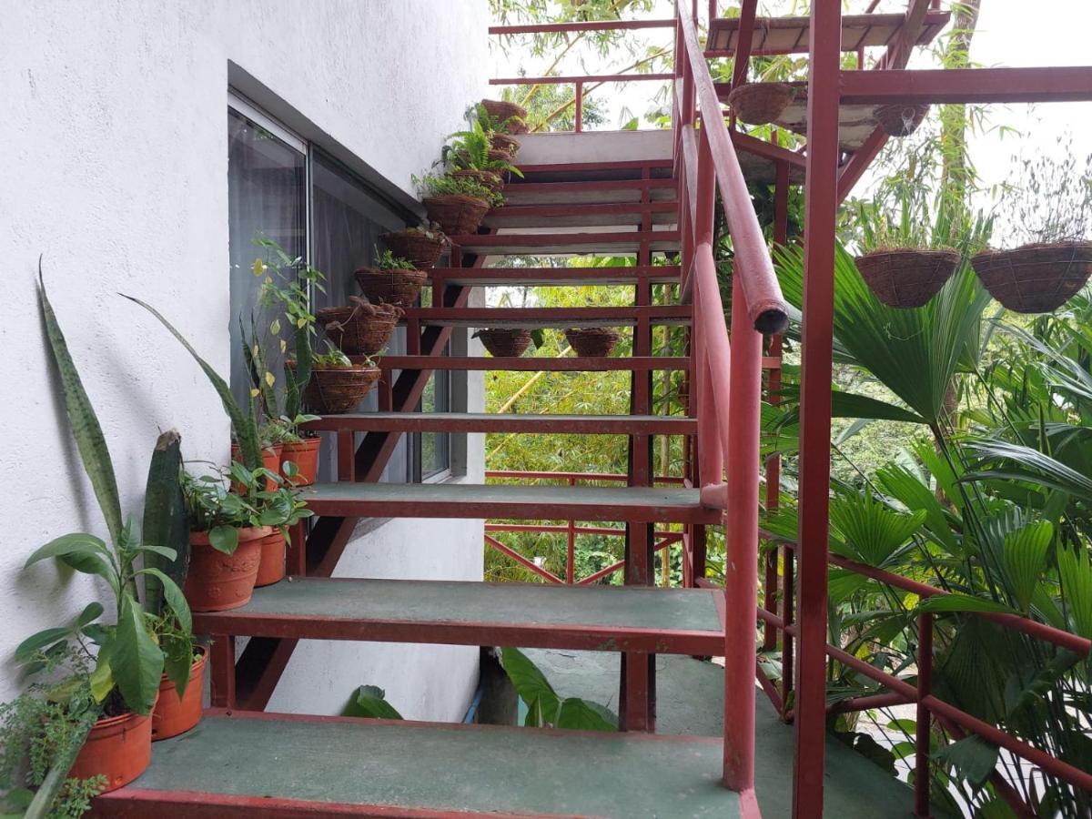 Pura Vida Hostel Manuel Antonio Exterior photo